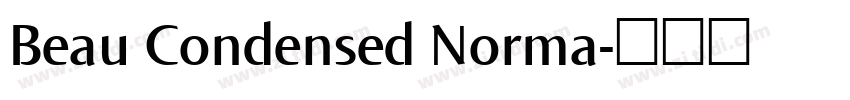 Beau Condensed Norma字体转换